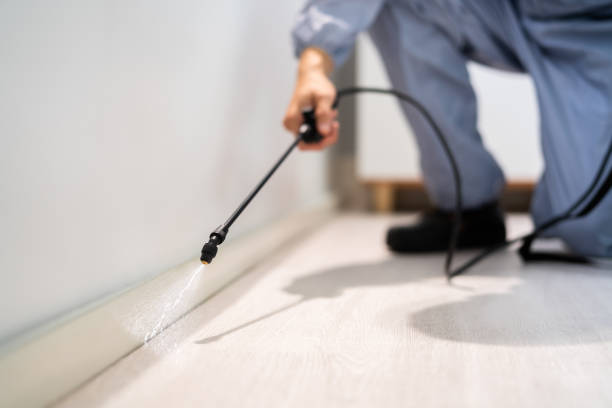Licensed Pest Control service in Weidman, MI - Show Me Pest Control