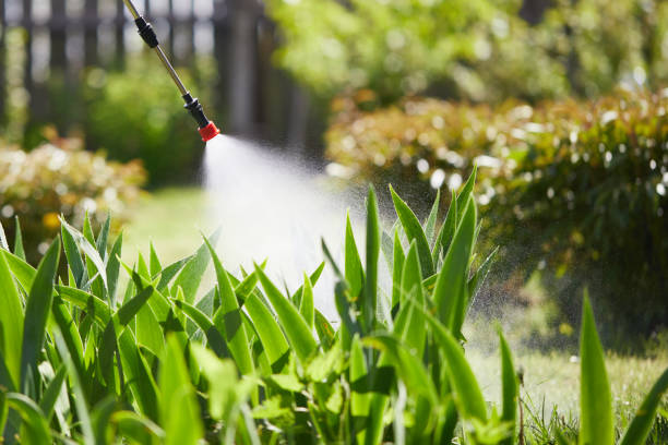 Tamper-Resistant Bait Stations for Rodents in Weidman