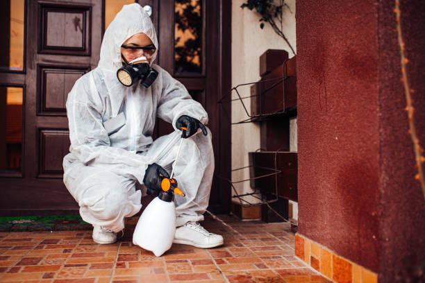 Attic and Crawl Space Rodent Treatment in Weidman