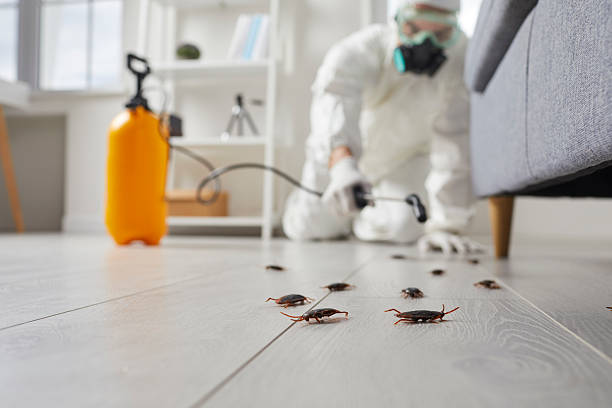 Commercial Rodent Management in Weidman